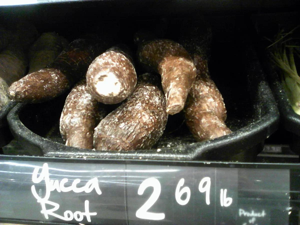Long cassava or yuca roots with rough brown bark-like skin and pale white flesh