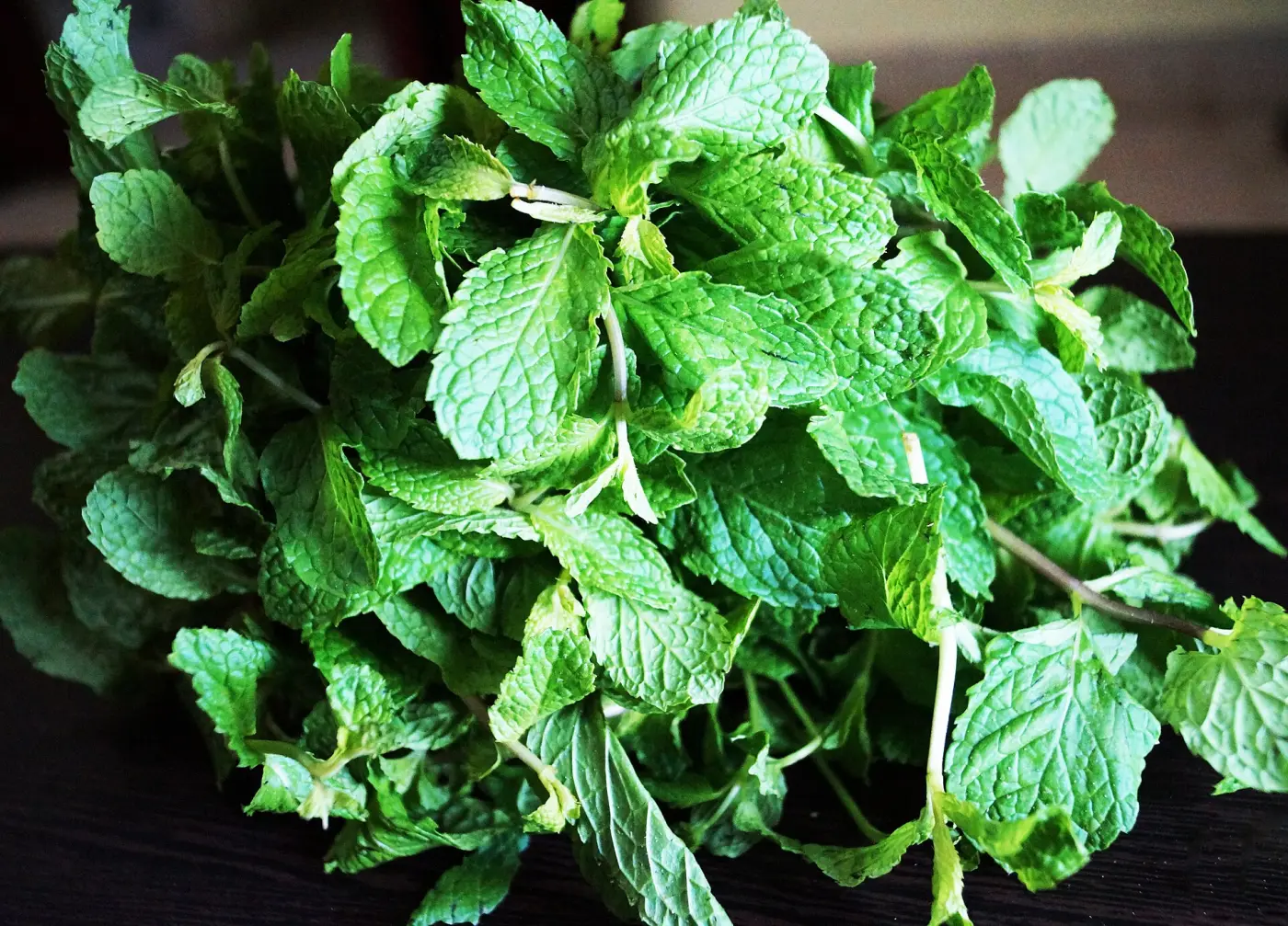 Fresh green mint leaves with serrated edges