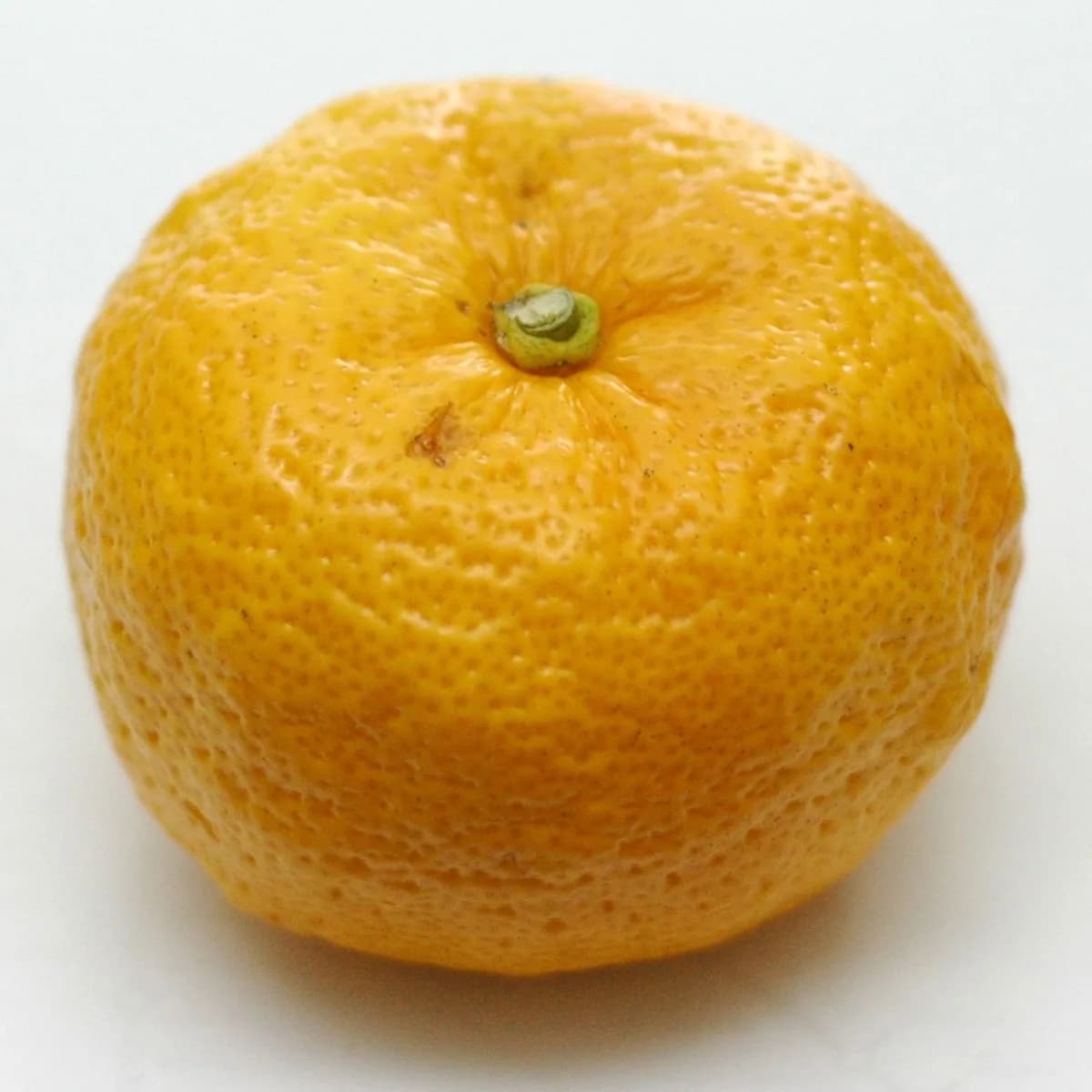 A ripe yellow yuzu citrus fruit with bumpy peel