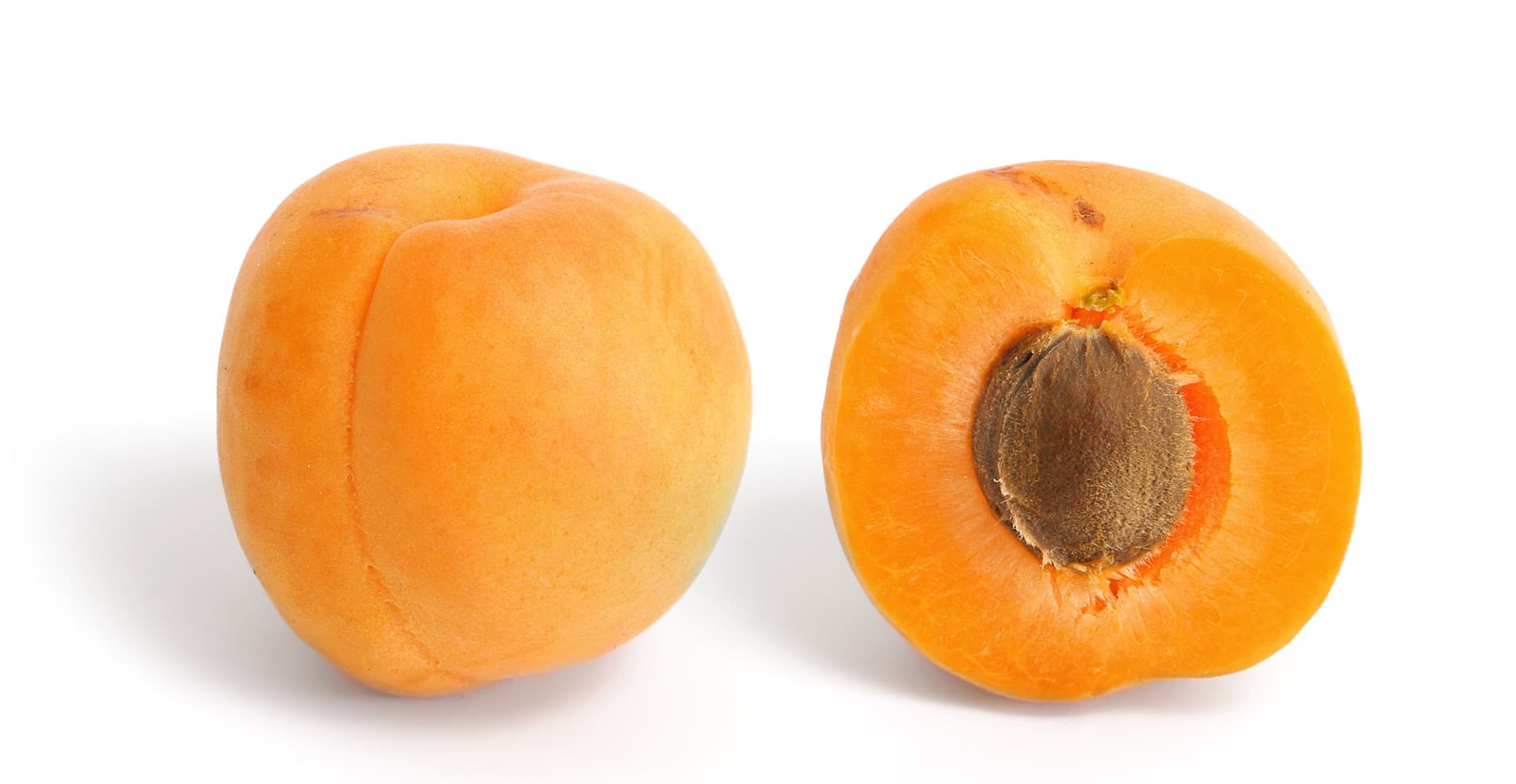 High resolution image of Apricot - historical ingredient