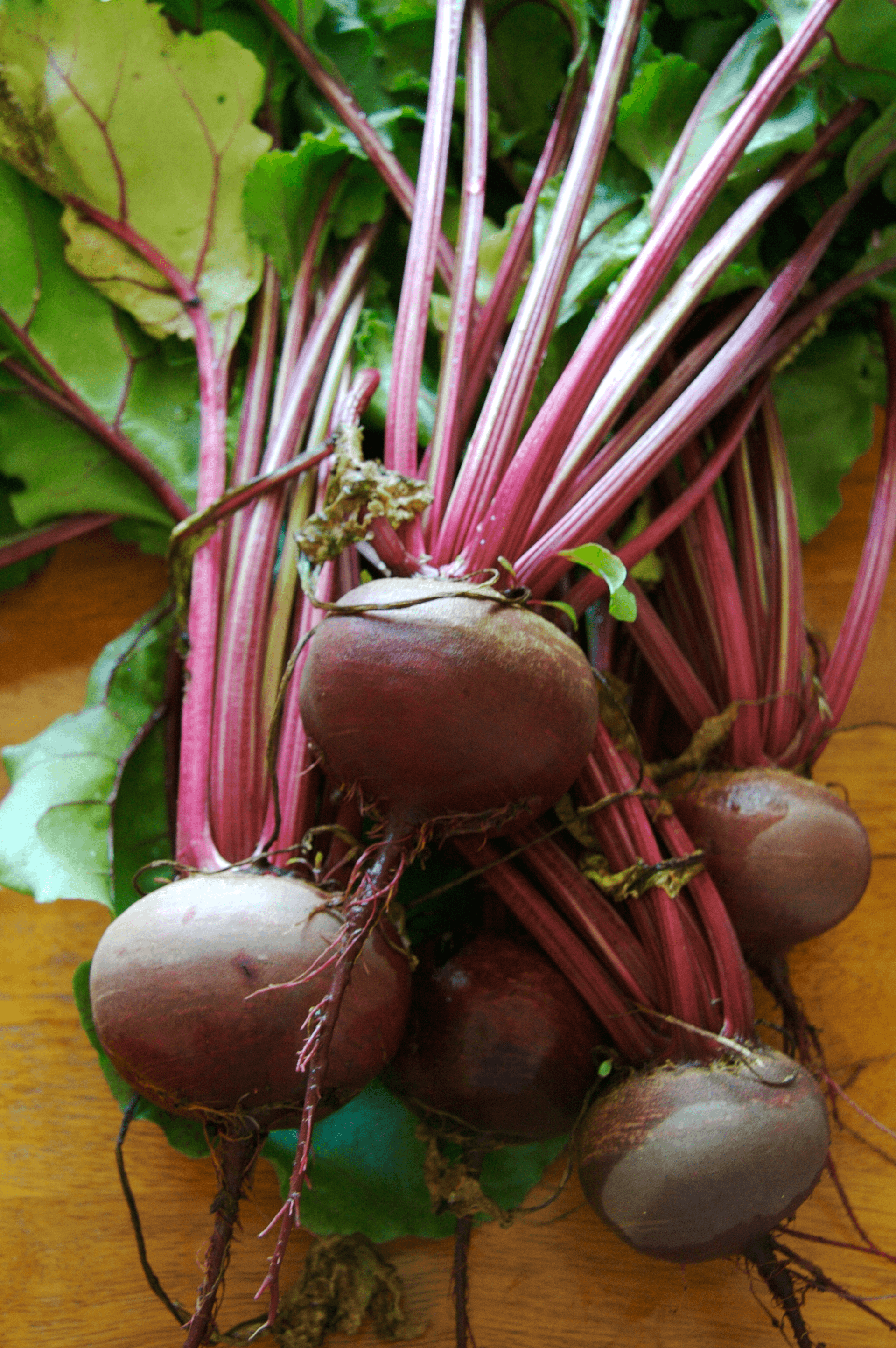 High resolution image of Beetroot - historical ingredient