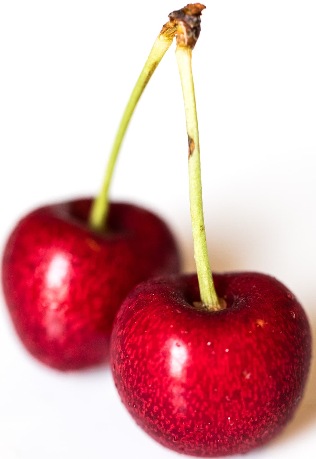High resolution image of Cherry - historical ingredient