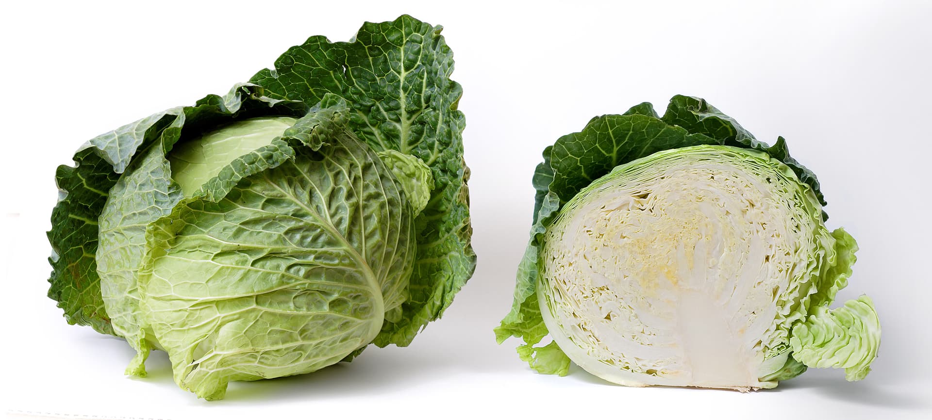 High resolution image of Cabbage - historical ingredient
