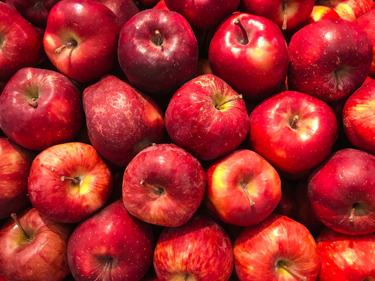 Red and green apples in an orchard