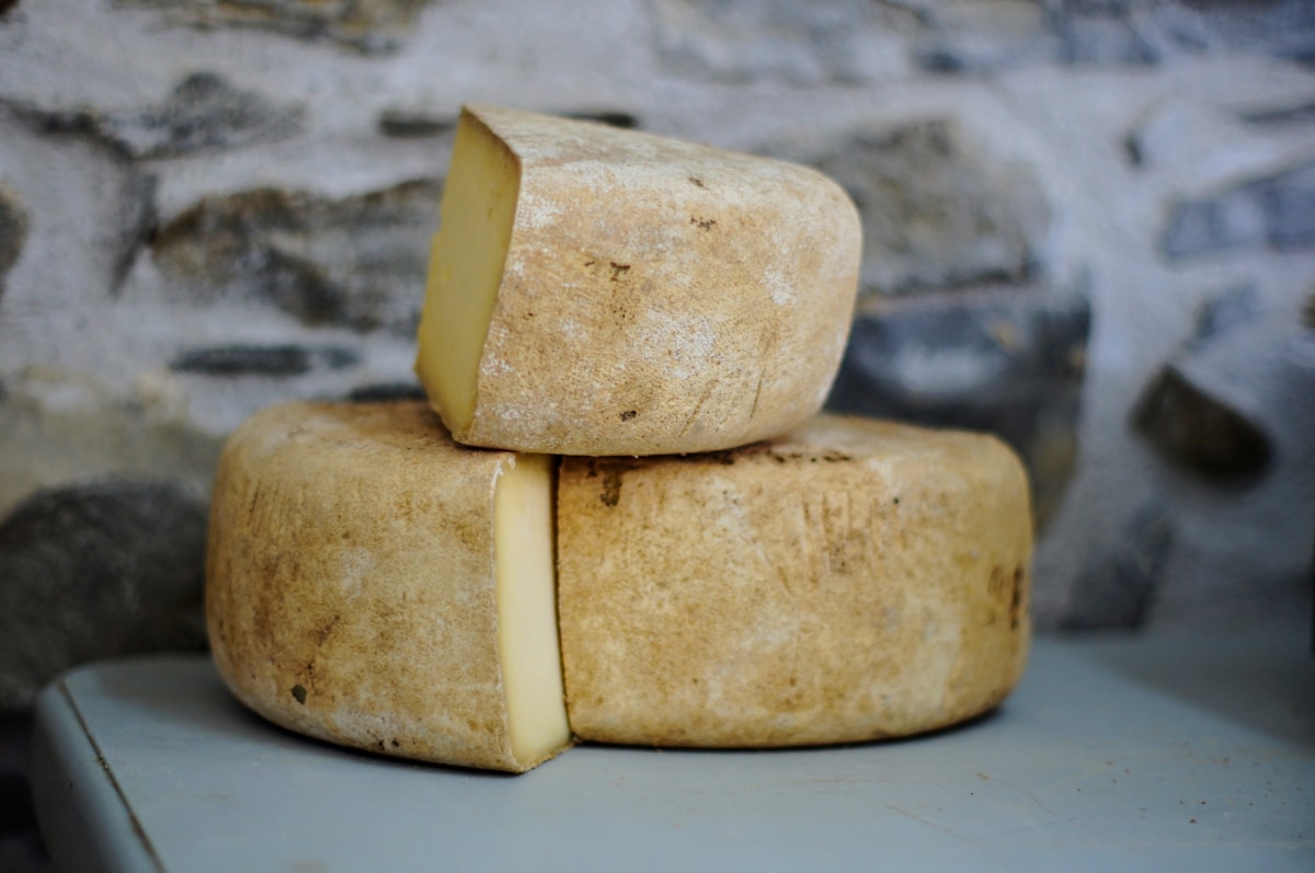 Artisan cheese wheels aging on wooden shelves