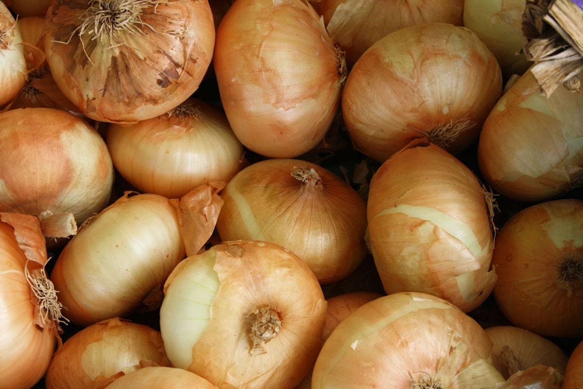 Red and golden onions in rustic setting