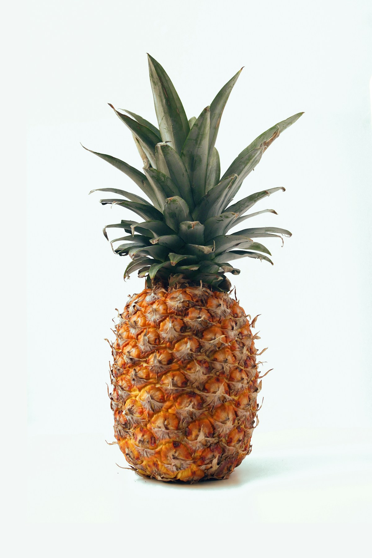 Golden pineapple against tropical backdrop