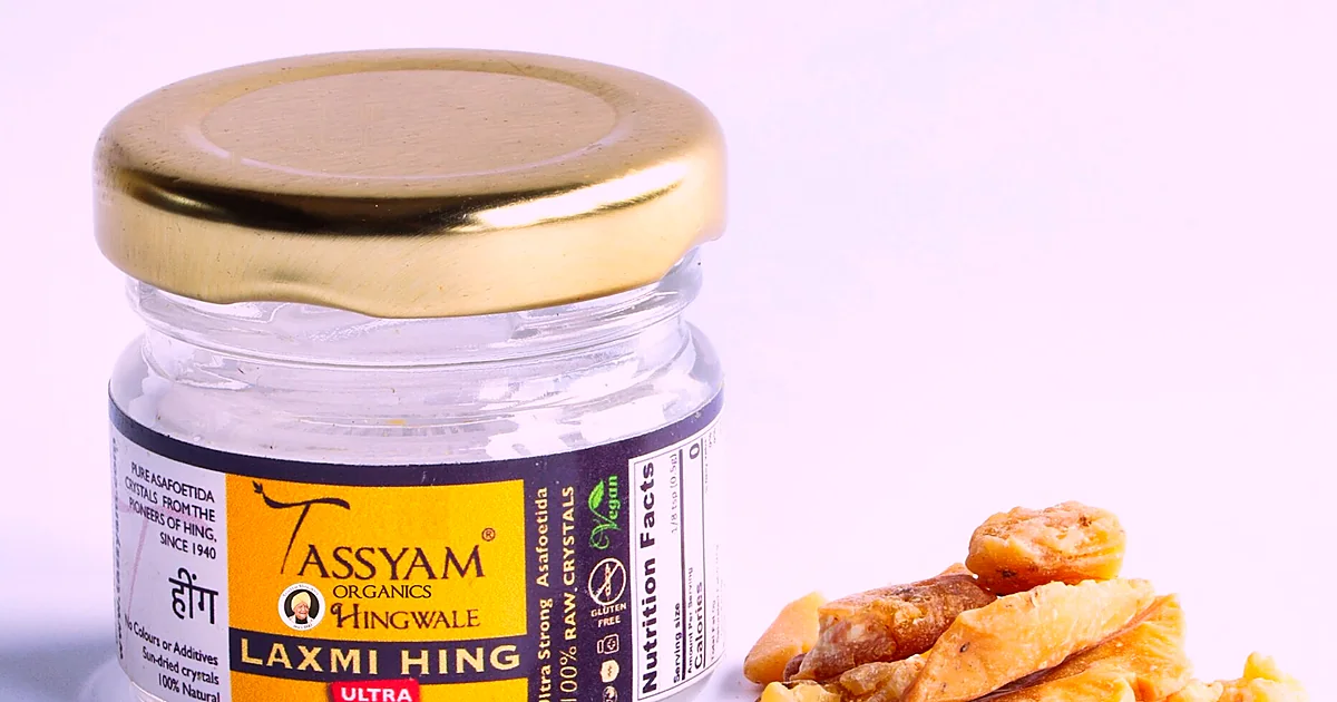 Yellow asafoetida powder beside Ferula resin and Indian spices