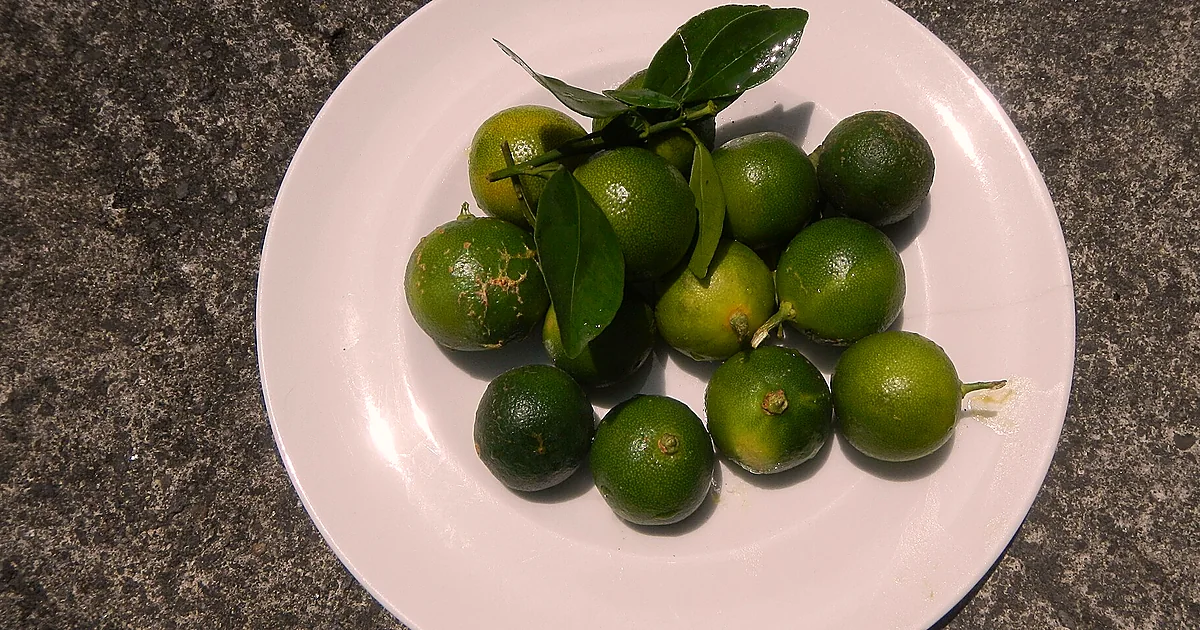 Small green and orange calamansi fruit cut open beside a bowl of dipping sauce