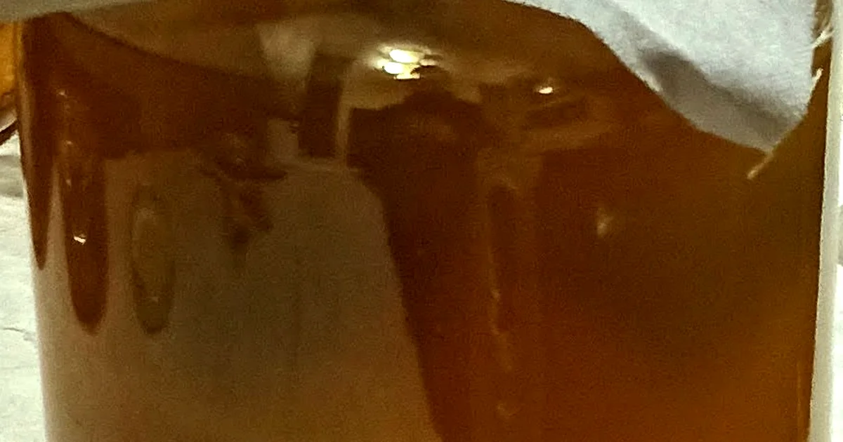 Amber kombucha with tea leaves, a fermentation jar, and a floating culture