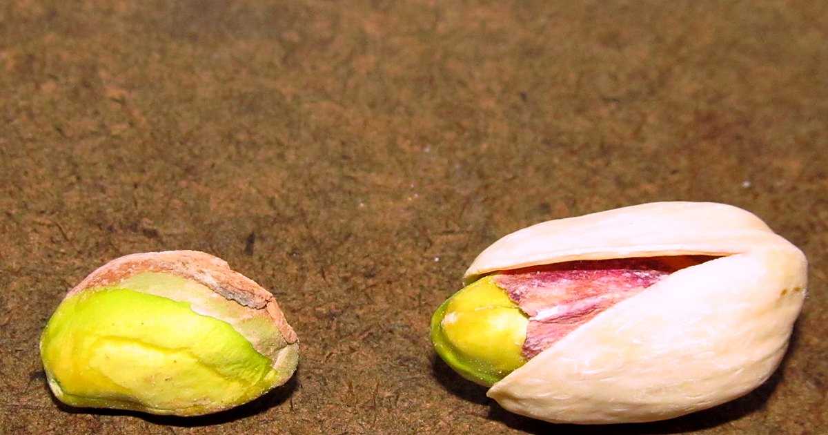 Editorial still life of pistachio with related pantry items