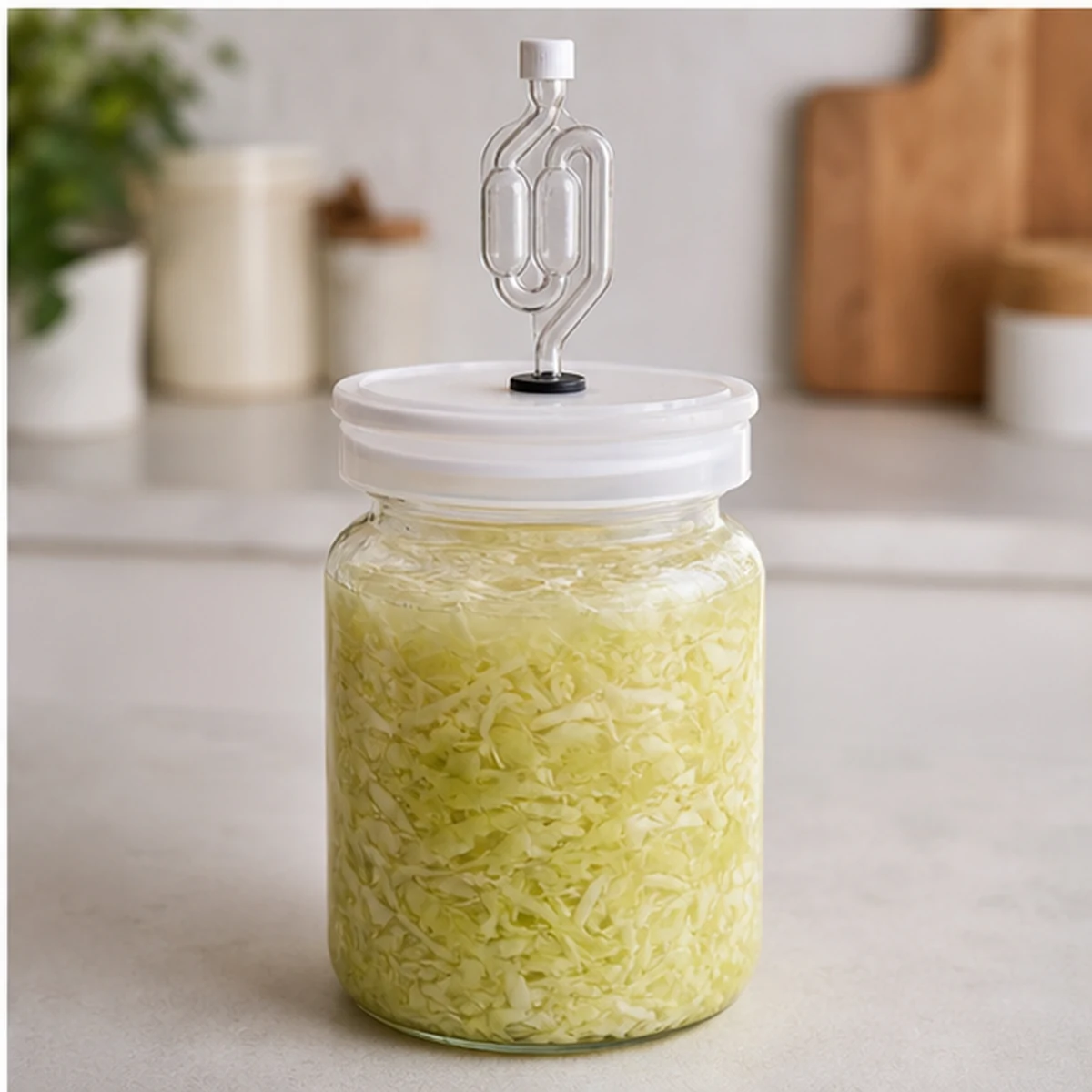 Ferment for Small-Batch Fermented Cabbage, showing the ingredients and preparation at this stage
