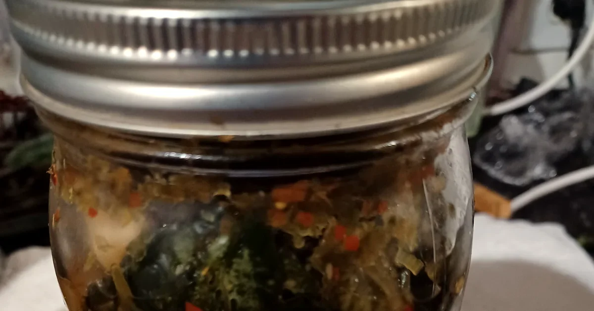 Napa cabbage kimchi, cubed radish kimchi, white kimchi, and vegan kimchi in separate dishes